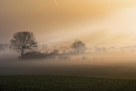 Lau Ingo  - Fotoclub Schleswig e.V.  - 4-LA  - Morgennebel - Urkunde