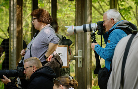 Fotowalk im Wildpark Eekholt 4 - Foto Michaela Pecat