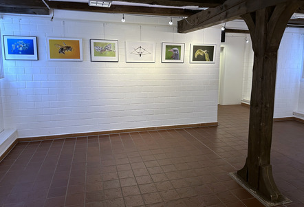 DFM-Ausstellung Stadtmuseum Schleswig - Foto Michaela Pecat 04