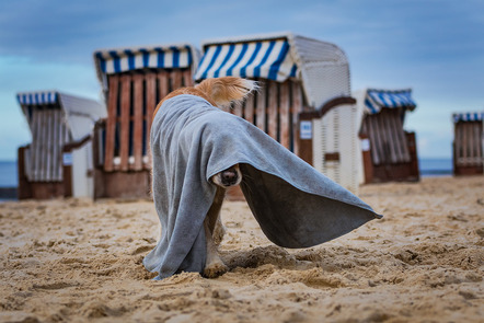 Baete, Claudia  - Fotoclub Göttingen e.V.  - Strandabenteuer - Farbe - Annahme