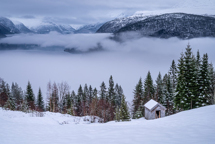 Schinkel, Uwe  - Direktmitglied  - Winter am Nordfjord - Farbe - Annahme