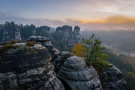 Rauer, Monika  - Fotogruppe Bredenbeck  - Elbsandstein - Natur - Annahme