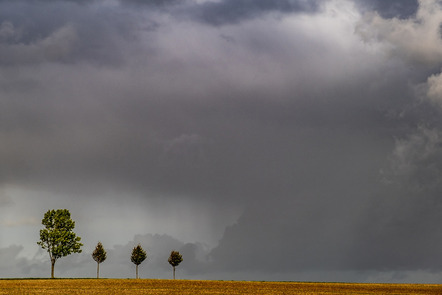 Bannick, Mathias  - Fotoclub Schleswig e.V.  - junge Allee - Sonder - Annahme