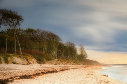 Schramm, Alfred  - Fotoclub Kiel  - Weststrand Darß - Natur - Annahme