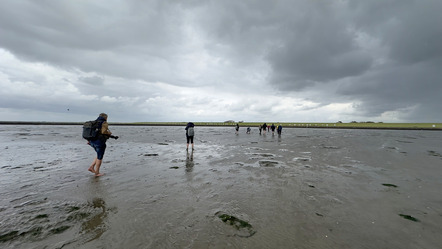 Fotowalk Wattenmeer - Michaela Pecat Foto 08