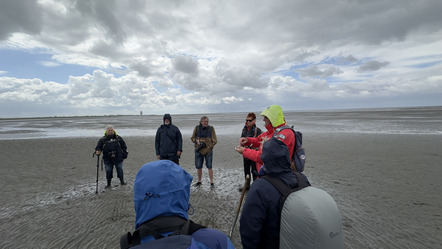 Fotowalk Wattenmeer - Michaela Pecat Foto 07