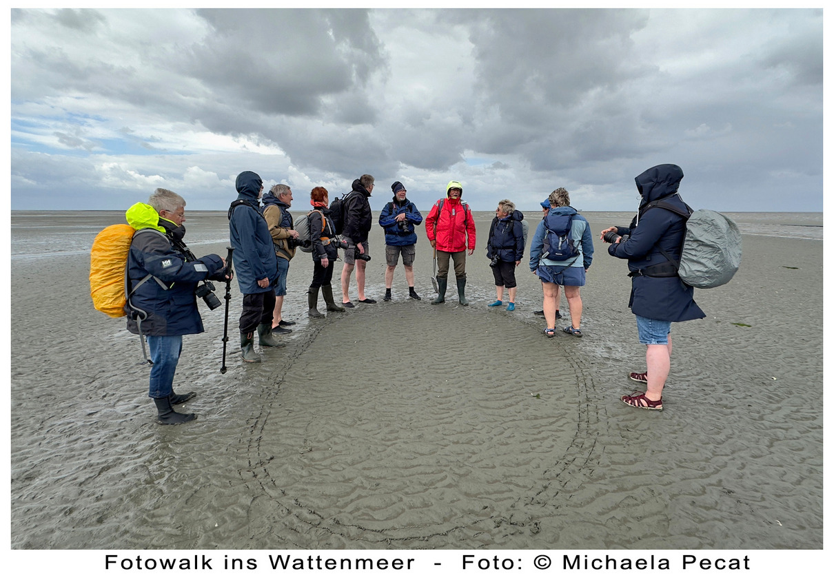 Fotowalk Wattenmeer 2024 - Michaela Pecat