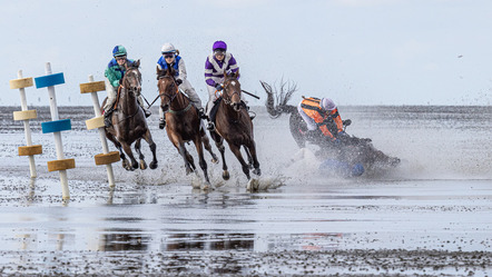 Jebe, Renate  - Photographische Gesellschaft Lübeck e.V.  - Dangerous race 482 - Farbe - AK3 - Annahme