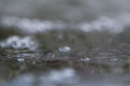 Herrmann, Carla  - Fotogruppe Creativ Bremerhaven  - Der Tropfen - Natur - AK3 - Annahme