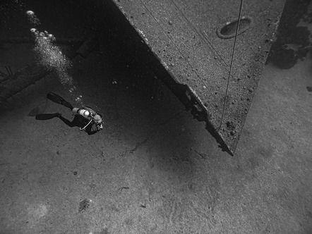 Sievers, Jürgen  - Fotoclub Schleswig e.V.  - In the deep - SW - AK3 - Annahme