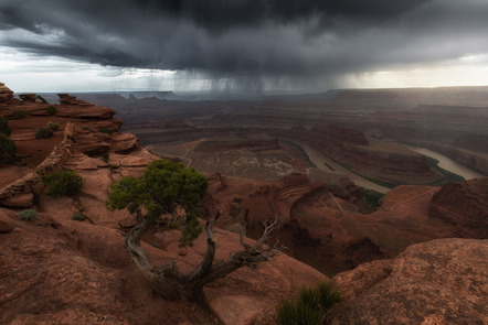 Bergmann, Lars  - Fotoforum Jever  - Regen - Natur - AK3 - MEDAILLE