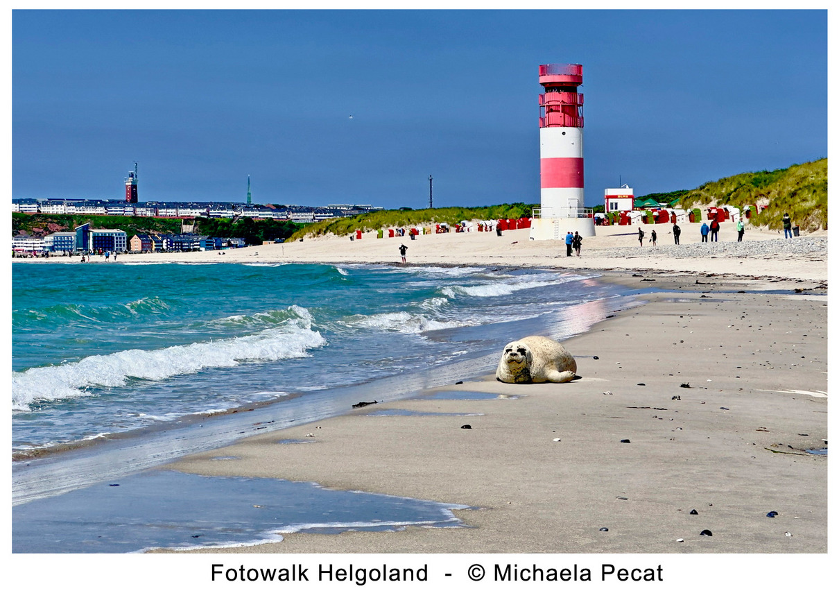 Fotowalk Helgoland - Michaela Pecat