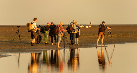 Andreas Dohmeyer StPeterOrding 2024 07 -4821-2