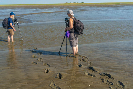 Andreas Dohmeyer StPeterOrding 2024 07 -4999-2