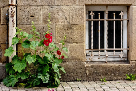 Fotowalk Hann-Münden - Werner Fritz 4