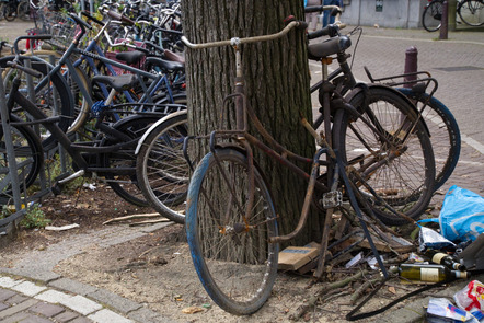 Busreise Amsterdam - Wilhelm Böhm - Foto 3